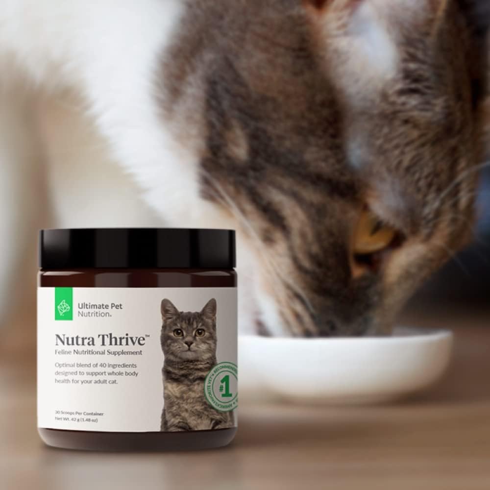 nutra-thrive-cat-nutritional-supplement---40-in-1-vitamins-minerals-probiotics-enzymes-antioxidants-superfoods---30-servings-5