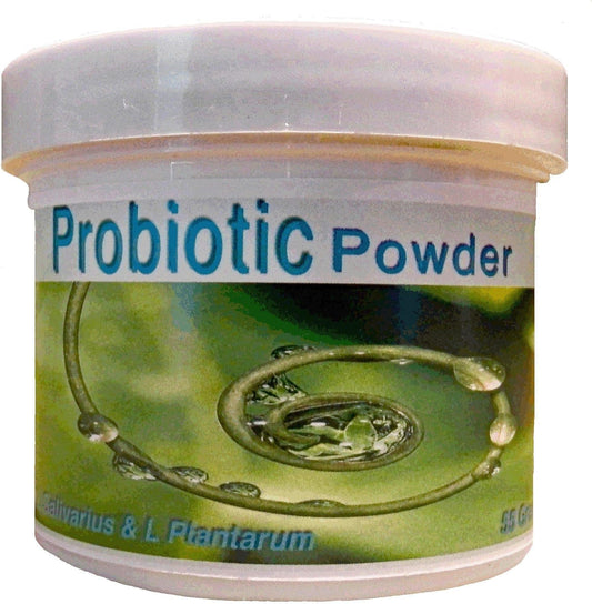 55 Grams Probiotics Powder for Gut Health - Frequency Foods
