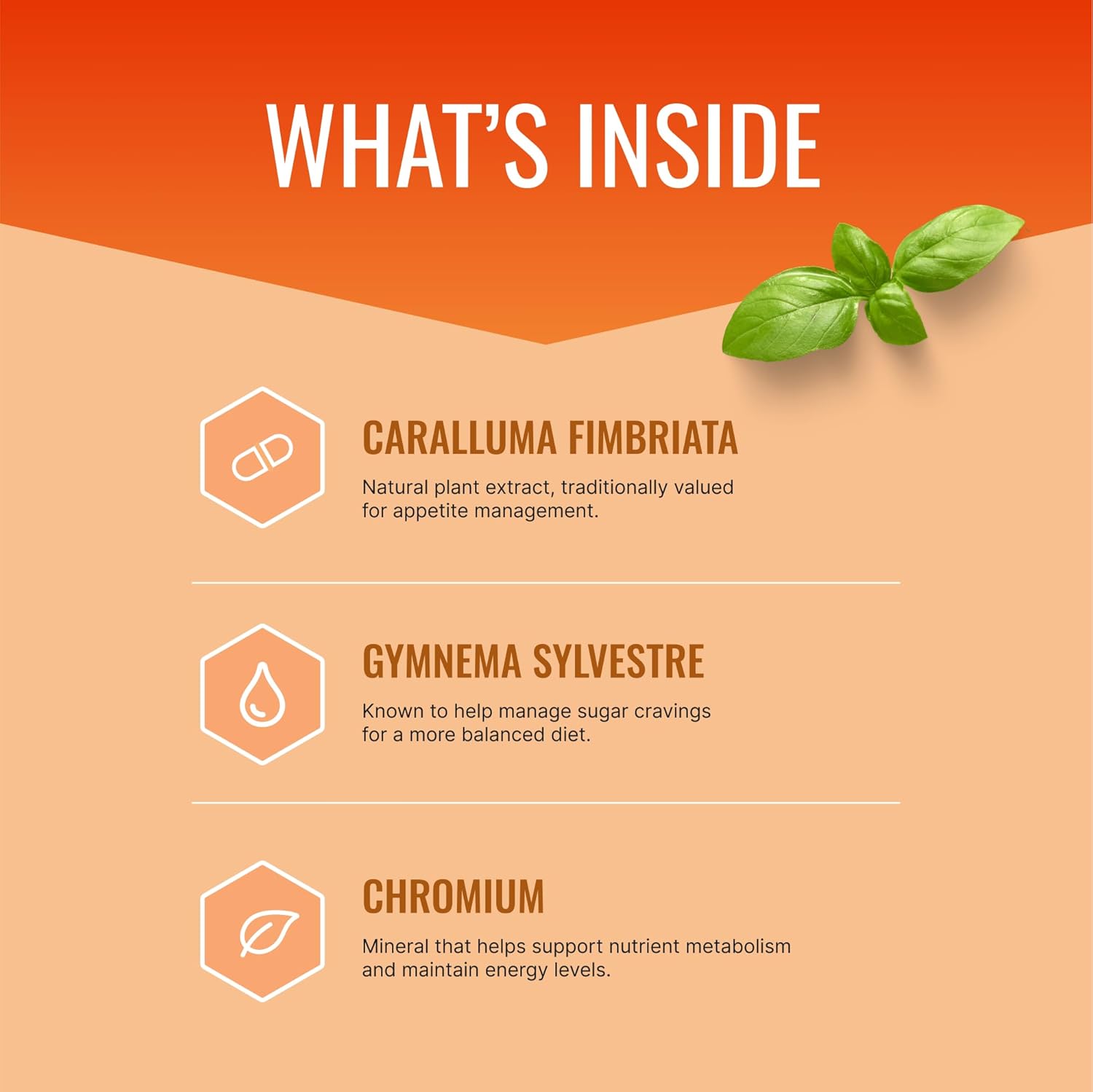 60 Capsules of Approved Science® Appetite Suppressant with Gymnema, Chromium, and Cayenne Pepper - USA Made