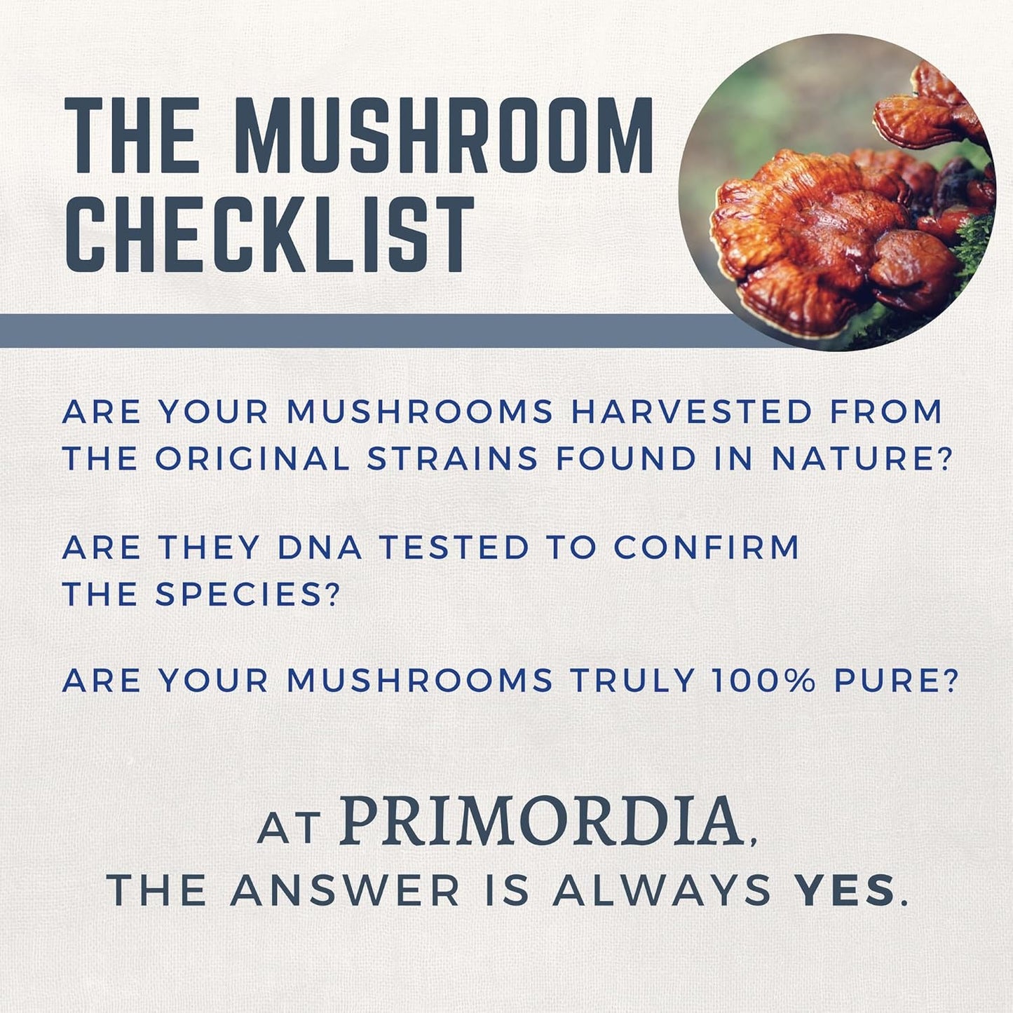 60 Capsules Primordia Pure Reishi Mushroom Supplement for Gut Health, Immune Support, and Restful Sleep - Liquid State Fermentation of Reishi Ganoderma Lucidum Mushrooms