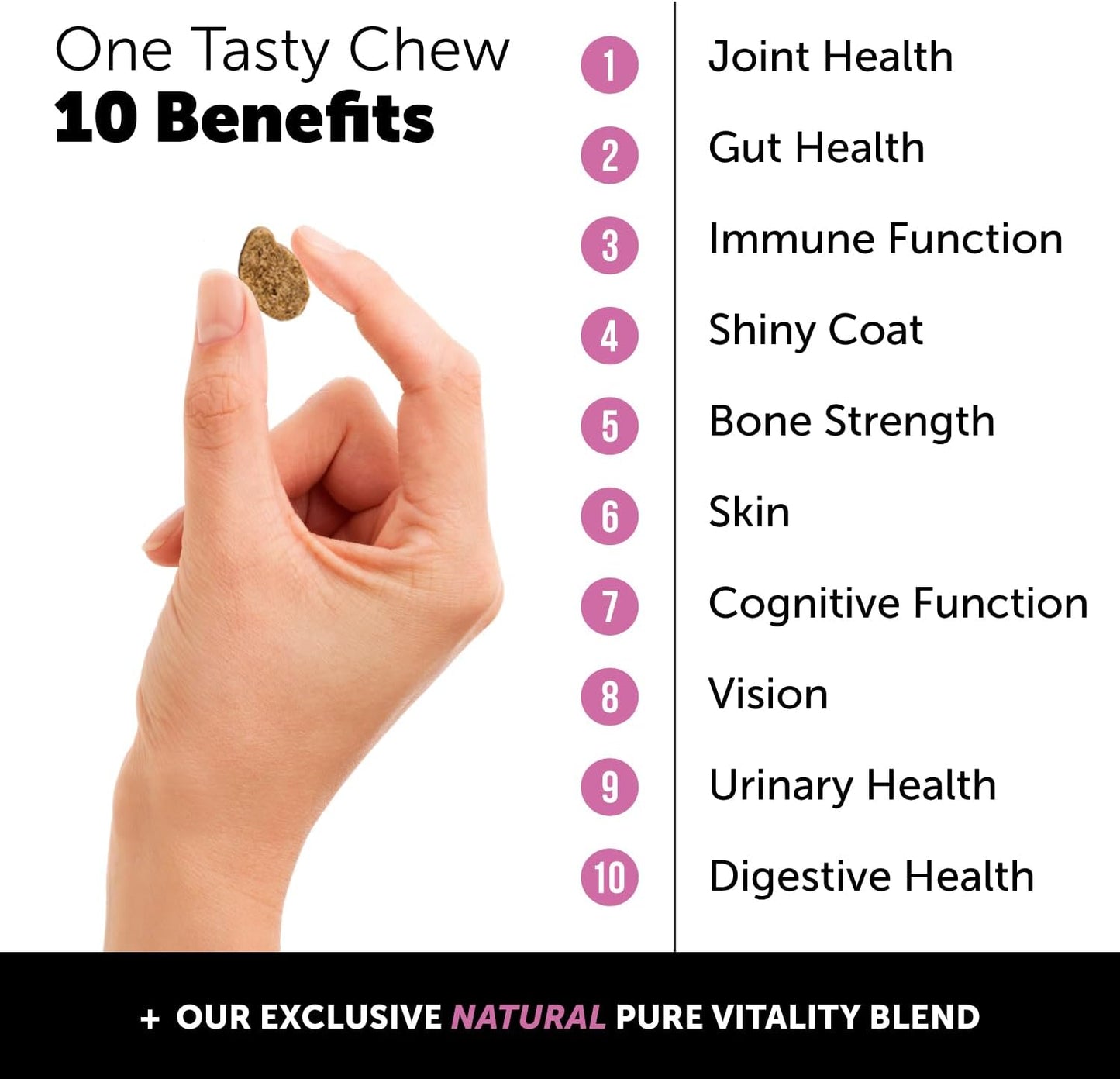 dog-vitamins-bundle---pethonesty-10-in-1-multivitamin-hip-joint-health-soft-chew-supplement-for-overall-dog-health---includes-glucosamine-chondroitin-omegas-turmeric-and-msm---joint-supplement-for-dogs-2