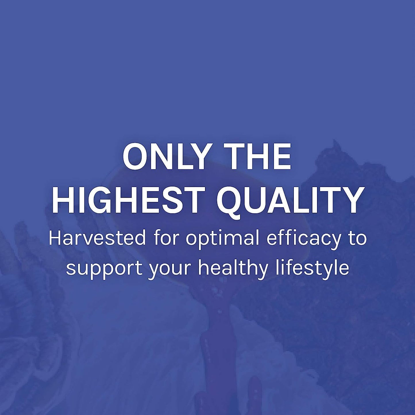immune-support-mushroom-supplement-with-7-species-blend---host-defense-stamets-7---includes-cordyceps-reishi-lions-mane-chaga-more---120-capsules-8