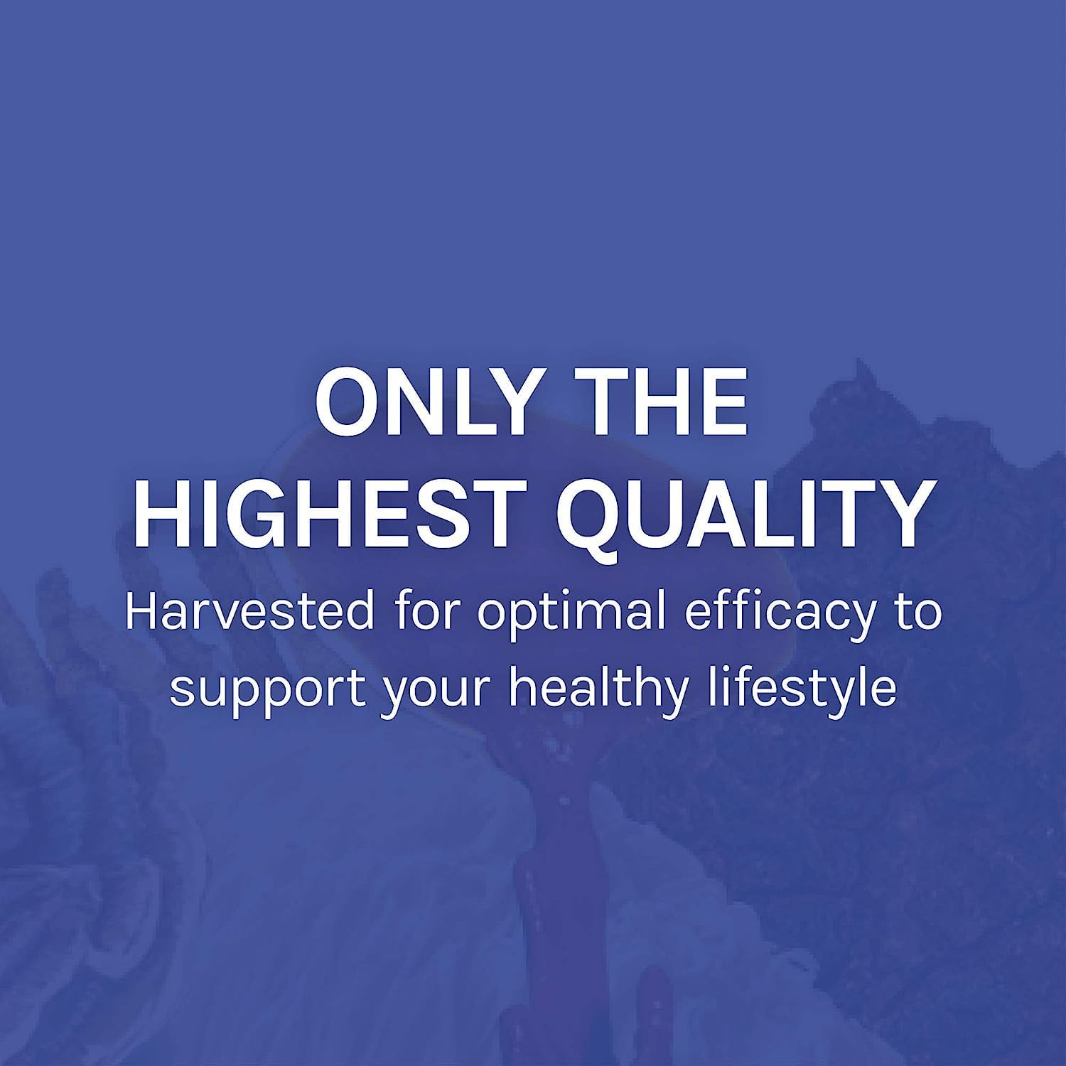 immune-support-mushroom-supplement-with-7-species-blend---host-defense-stamets-7---includes-cordyceps-reishi-lions-mane-chaga-more---120-capsules-8