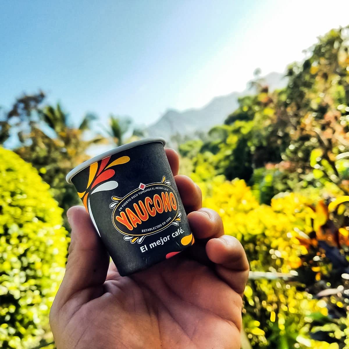 yaucono-decaf-ground-coffee-88-oz-canister---single-pack---premium-quality-decaffeinated-coffee-beans-from-puerto-rico-3