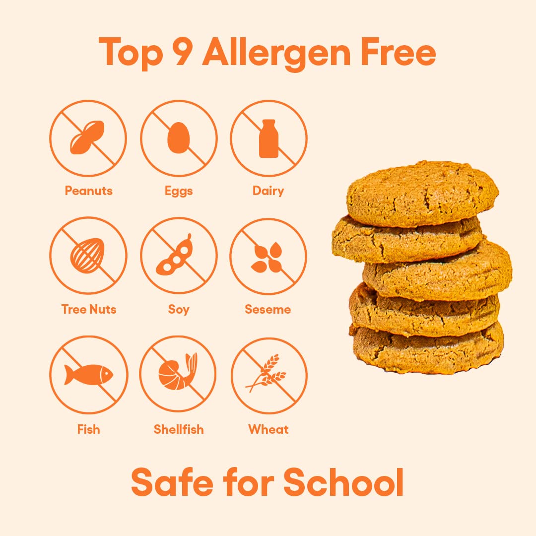 partake-foods-vegan-pumpkin-spice-cookies-gluten-free-snack-3-box-pack-peanut-soy-dairy-tree-nut-egg-sesame-free-2