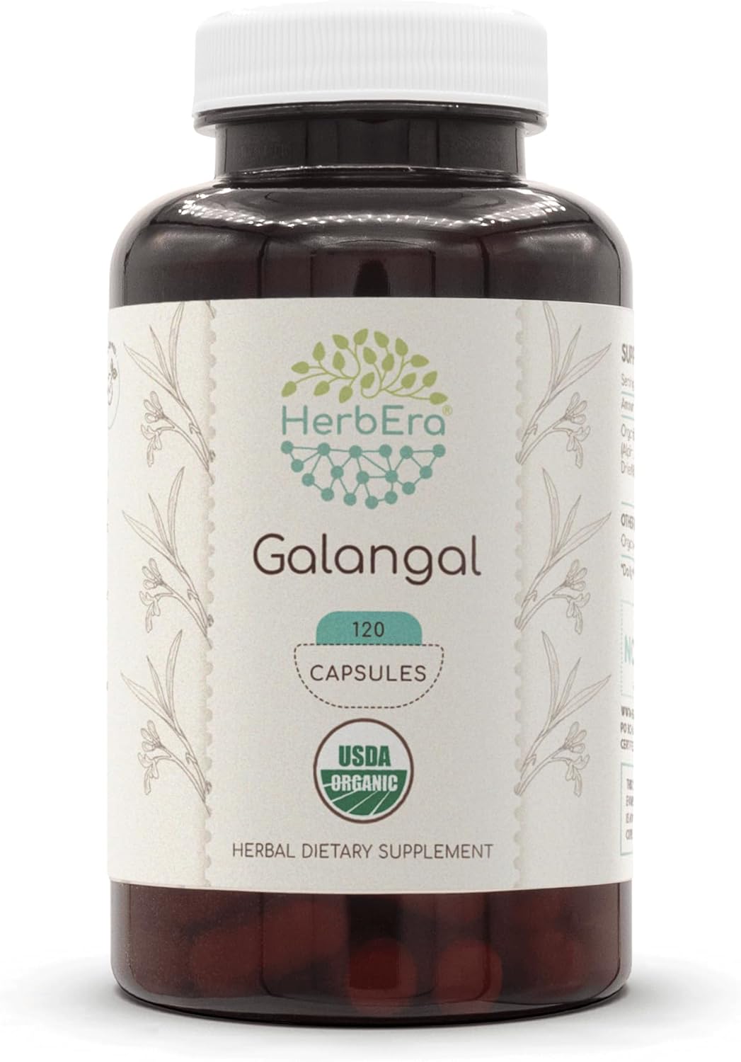 organic-galangal-root-capsules---500mg-usda-certified-120-count---herbera-galangal-supplement-1