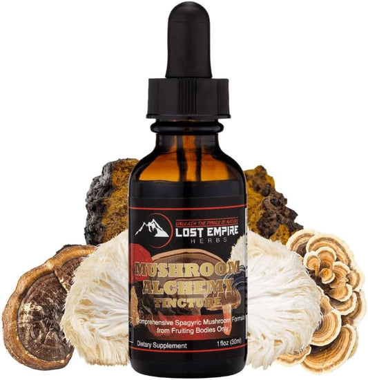 lost-empire-herbs-mushroom-alchemy-tincture---7-medicinal-mushrooms-spagyric-blend---reishi-turkey-tail-maitake-shiitake-lions-mane-artist-conk-chaga---1-fl-oz-1