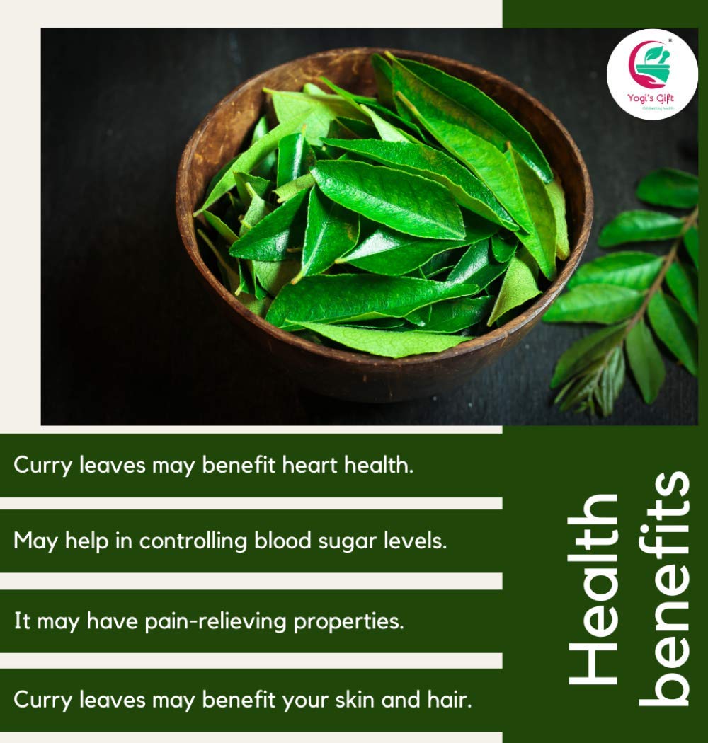 dried-curry-leaves-07-oz-900-leaves---aromatic-whole-herb-for-flavoring-food-kari-patta-tray-dried-fresh-curry-leaves-natural-health-gift-for-yogis-5