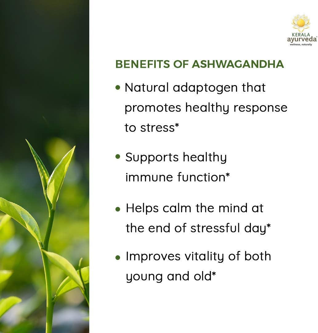 organic-ashwagandha-capsules-for-immune-support-stress-relief-and-sleep---herbal-dietary-supplement-for-hormonal-balance-60-count-6