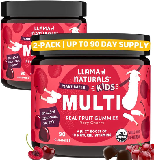 organic-vegan-kids-gummy-vitamins-with-real-fruit-no-added-sugar-plant-based-multivitamin-chewable-toddler-supplements-90-ct-2-pack-1