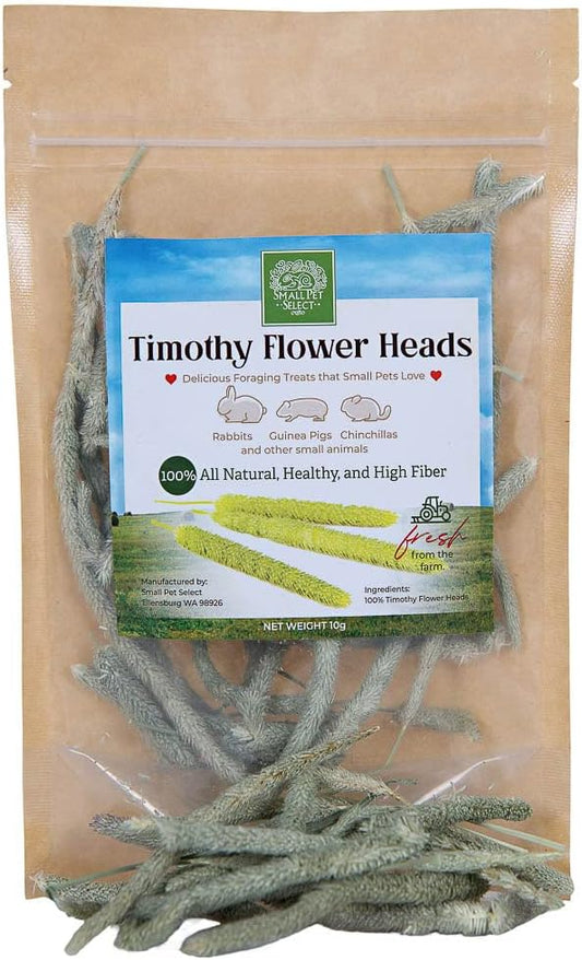 small-pet-select---timothy-hay-flower-tips-10g---high-quality-hay-for-small-pets-1