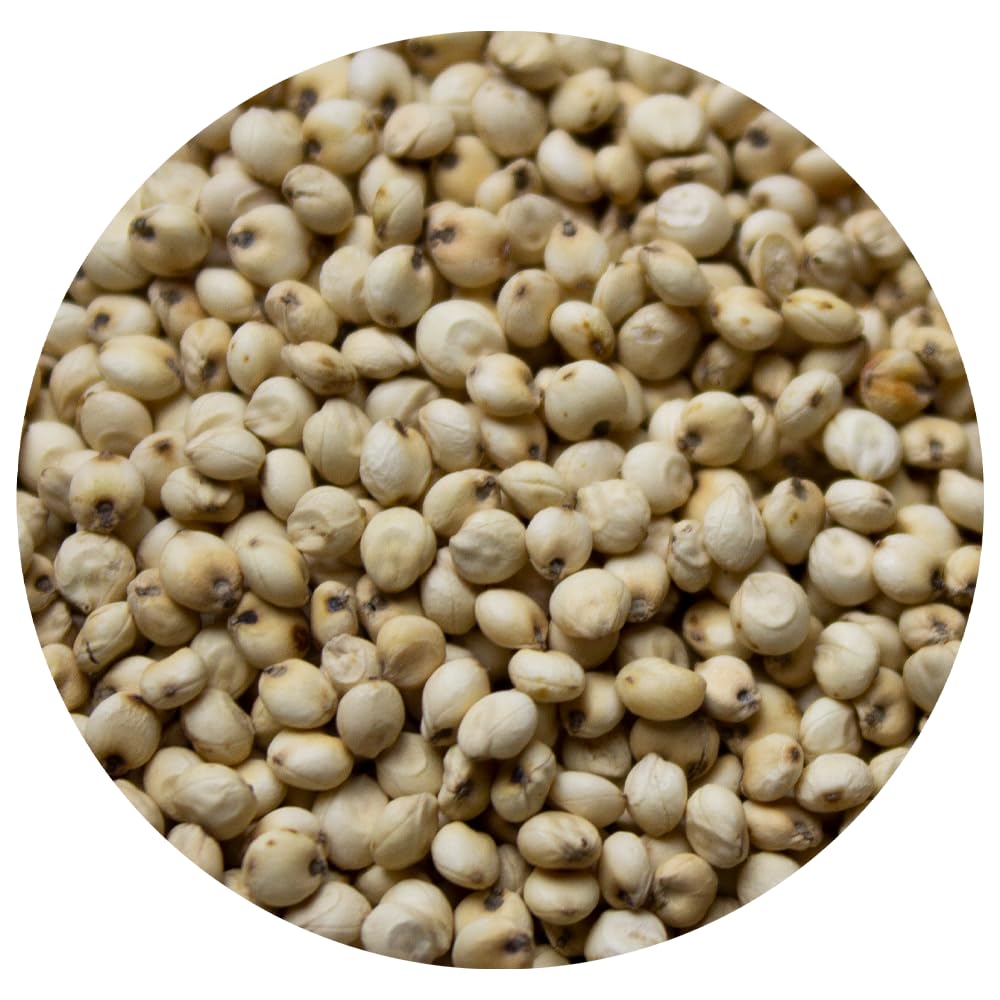 organic-sprouted-sorghum-grain---non-gmo-gluten-free-24-oz-bag---healthy-wheat-replacement-2