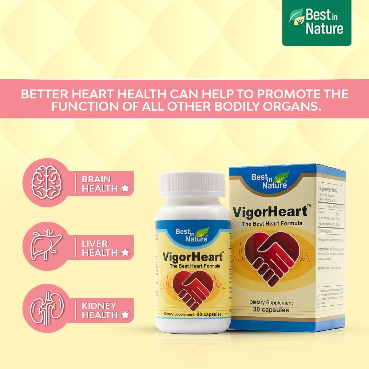 natural-heart-health-supplements-with-coq-10-salvia-miltiorrhiza-and-panax-pseudoginseng-30-capsules---boost-heart-health-with-vigorheart-5