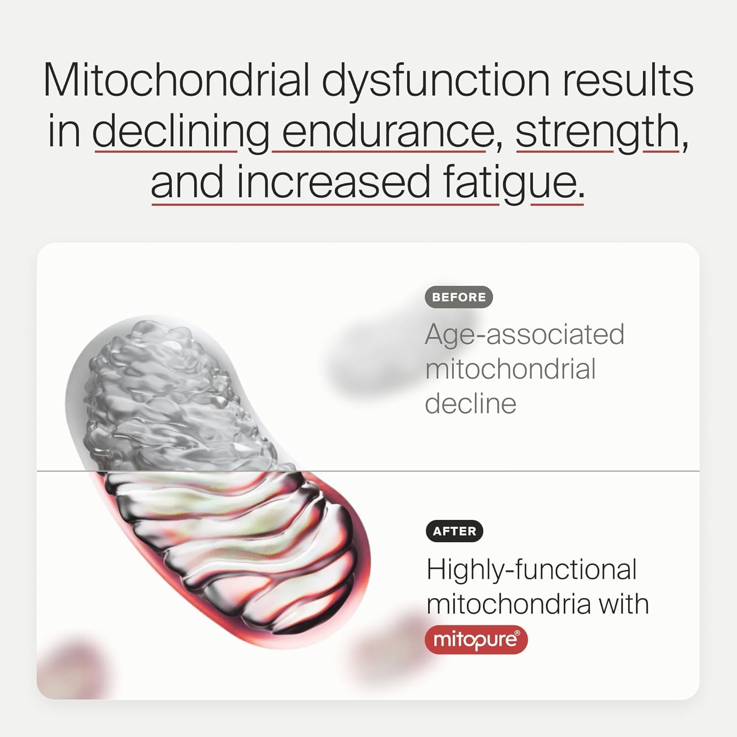 Mitopure Urolithin A Supplement for Healthy Aging & Cellular Renewal - Muscle Strength & Longevity - 30 Sachets - Espot.com.au