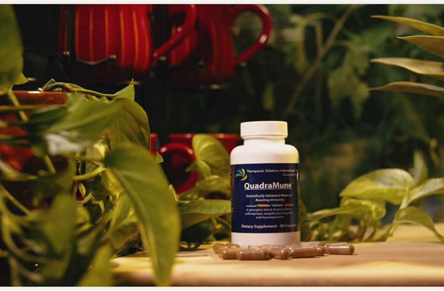 immune-support-dietary-supplement-with-quadramunes-patented-natural-blend-of-pterostilbene-broccoli-sprout-green-tea-and-nigella-sativa-6