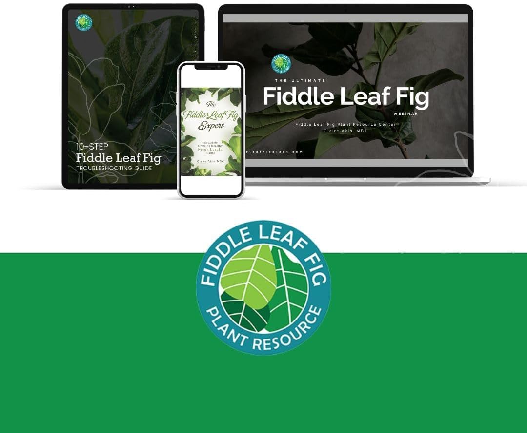 fiddle-leaf-fig-tree-plant-food---enriched-with-calcium-urea-free-npk-3-1-2-for-robust-growth---8-ounces-6