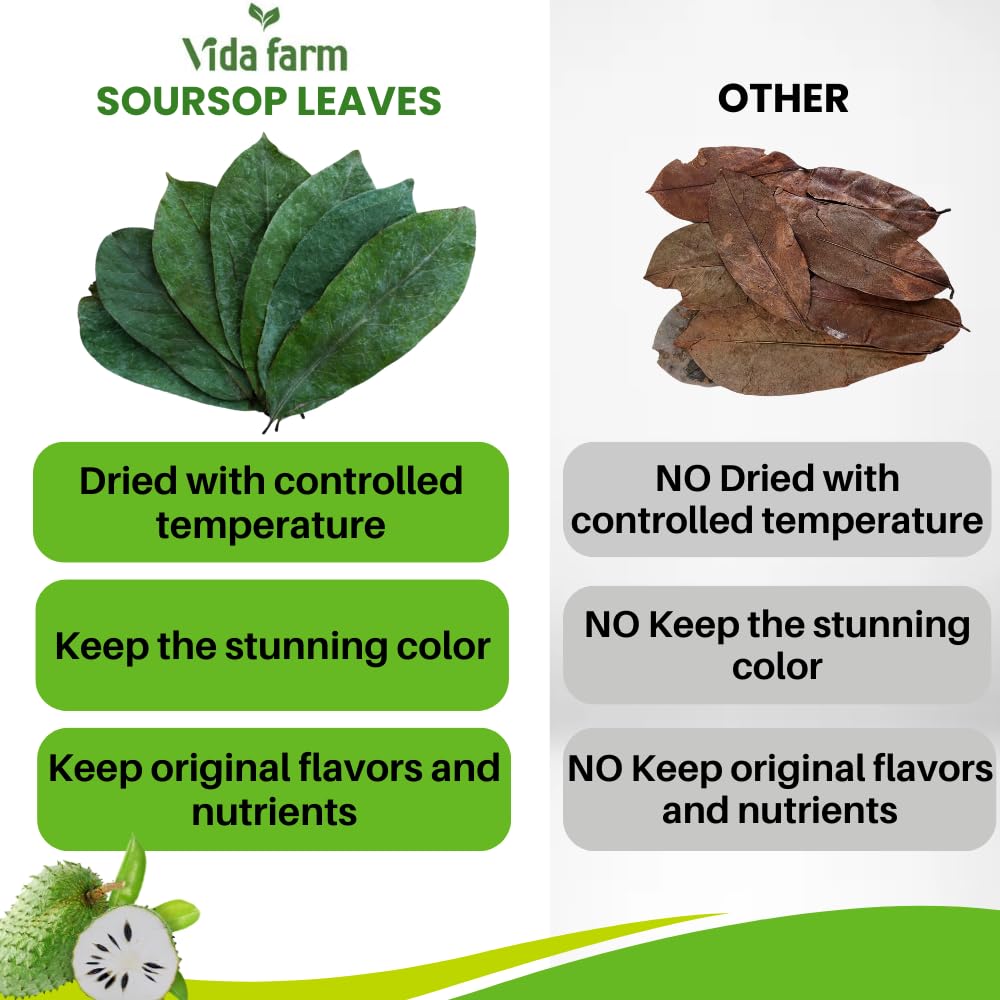 organic-dried-soursop-leaves-tea---155-premium-graviola-guanabana-herbal-tea---natural-whole-soursop-leaf-tea---hojas-de-guanabana-para-te---soursop-tea-leaves-3