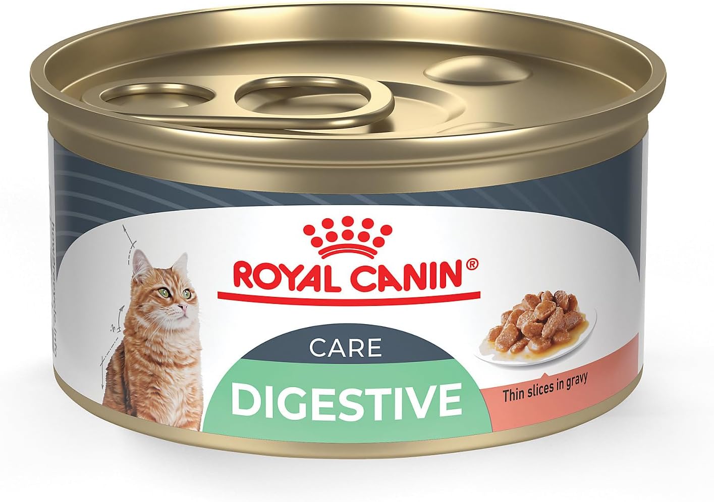 royal-canin-feline-digestive-care-wet-cat-food-thin-slices-in-gravy---24-pack-of-3-oz-cans-1
