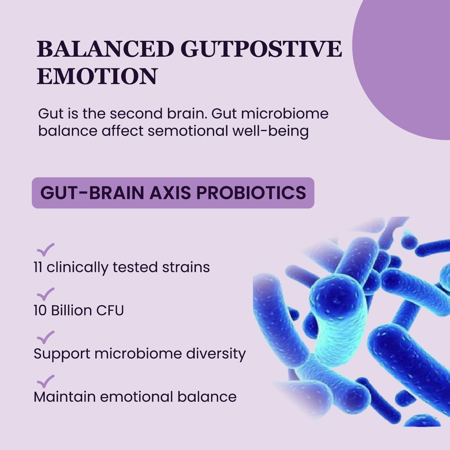 organic-ashwagandha-saffron-supplements-with-probiotics-for-stress-relief---mood-enhancer-calm-happy-pills-with-l-theanine-rhodiola---30-vegan-capsules-5