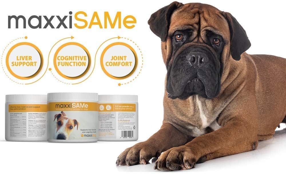 bundle-for-dogs-urinary-health---sam-e-support-canine-bladder-supplement-by-maxxipaws-2