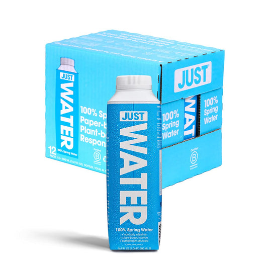 JUST Water Premium Pure Still Spring Water Eco-Friendly Plant-Based Bottle 8.0 pH 16.9 Fl Oz (Pack of 12) - Espot.com.au