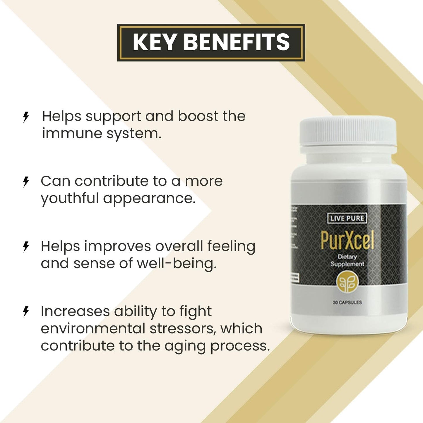 PurXcel Antioxidant Supplement - 30 Capsules for Skin, Joints & Cleansing - Rich in Glutathione & Superoxide Dismutase - Espot.com.au
