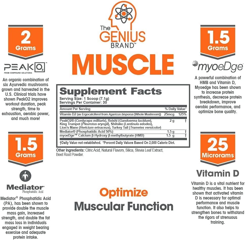 genius-brand-smart-muscle-building-bundle-genius-pre-bcaa-muscle-builder---boost-performance-growth-4