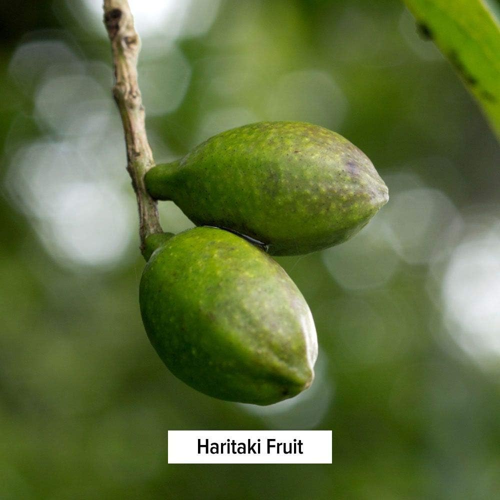 certified-organic-haritaki-powder---1lb---terminalia-chebula---detox-rejuvenation---vegan-non-gmo-gluten-free---fair-trade-5