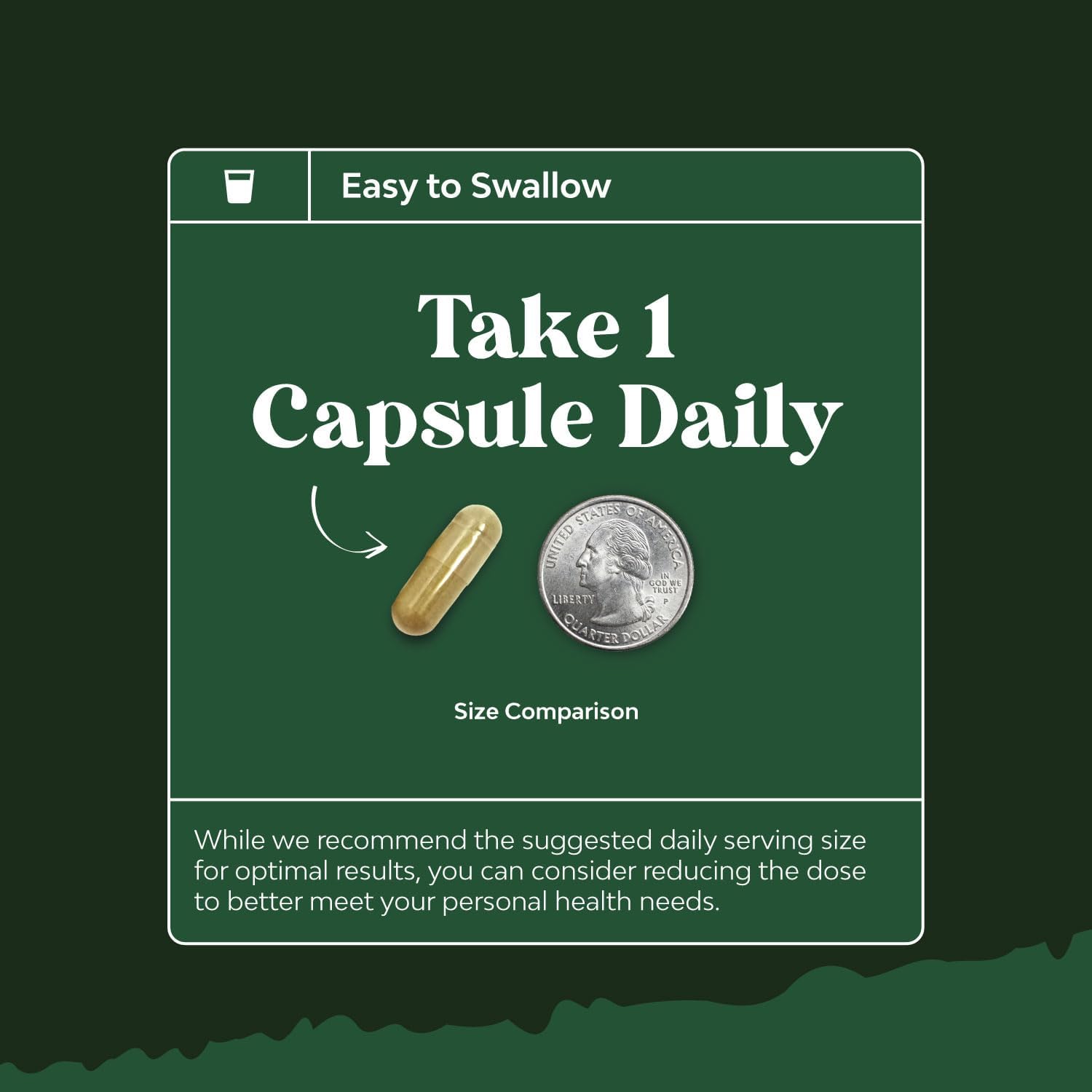 High Potency Olive Leaf Extract Capsules - Natural Antioxidant Supplement with 20% Oleuropein for Heart Health - Vegan, Non-GMO, Gluten Free - 2 Month Supply by Natures Craft - Espot.com.au