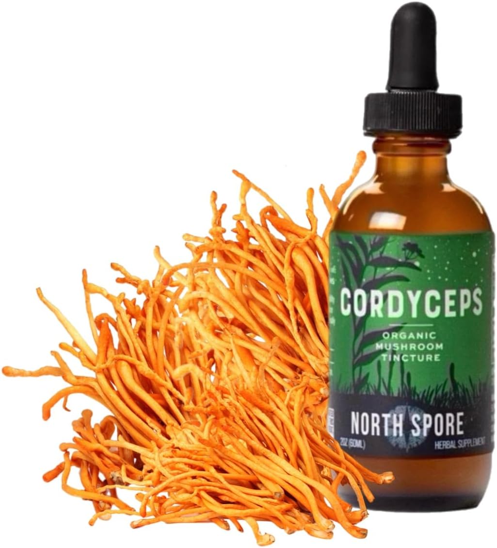 organic-cordyceps-militaris-extract-tincture-for-energy-endurance---2oz-liquid-drops-non-gmo-vegan-100-fruiting-bodies---north-spore-3