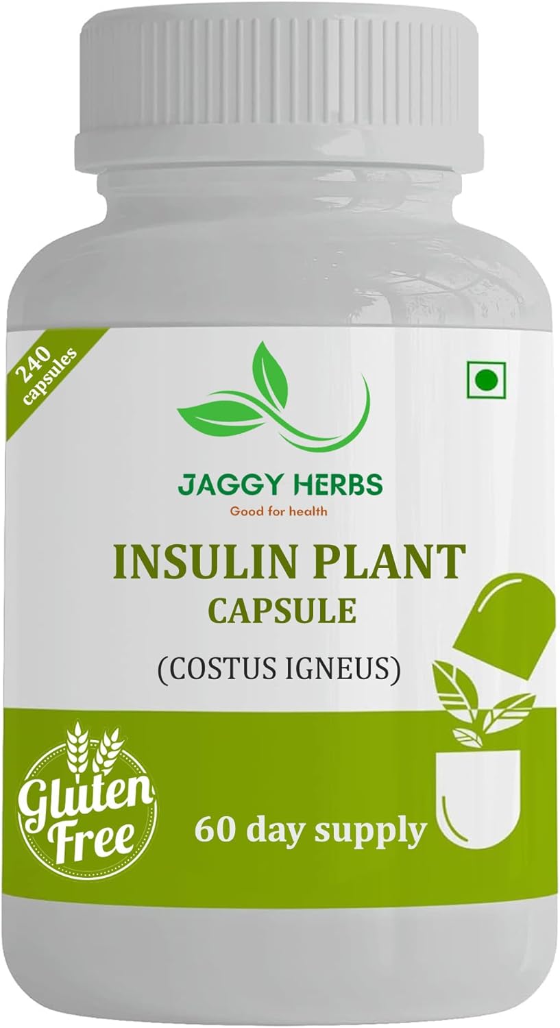 premium-jaggy-insulin-plant-capsules---240-veggie-capsules-natural-supplement-for-blood-sugar-control---costus-igneus-60-day-supply-5