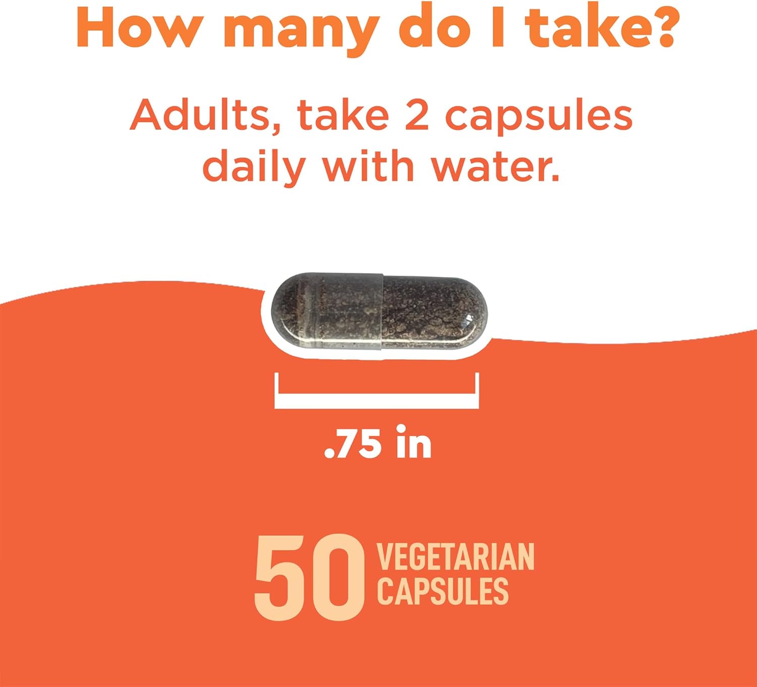 Nature Made Wellblends Immune & Respiratory Support Supplement with EpiCor Postbiotic, Vitamin C, and D3 - 50 Vegetarian Capsules - Espot.com.au