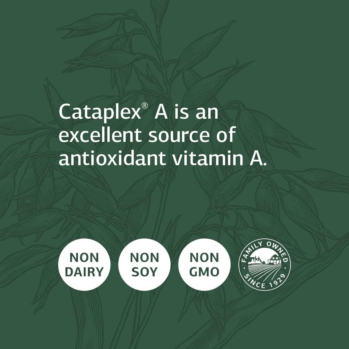 antioxidant-eye-health-supplement-with-vitamin-a-magnesium-sunflower-lecithin---180-tablets-by-standard-process-inc-3