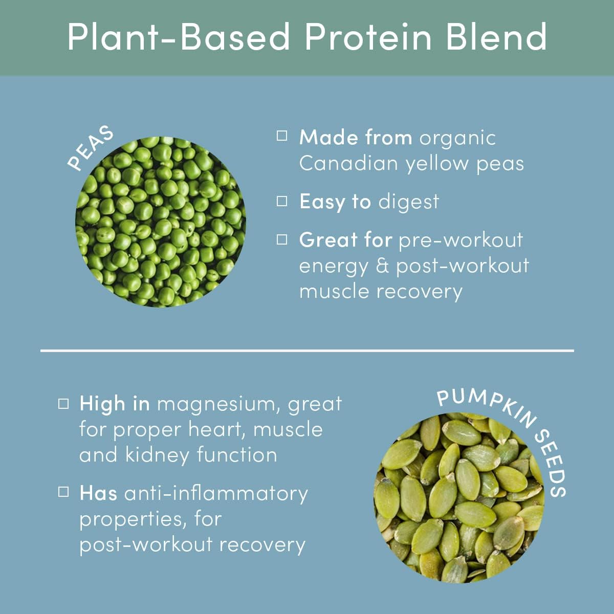 chocolate-plant-based-protein-powder-for-women---dairy-free-gluten-free-non-gmo-pea-chia-seed-protein-with-oat-milk---14-servings-15g-protein-7