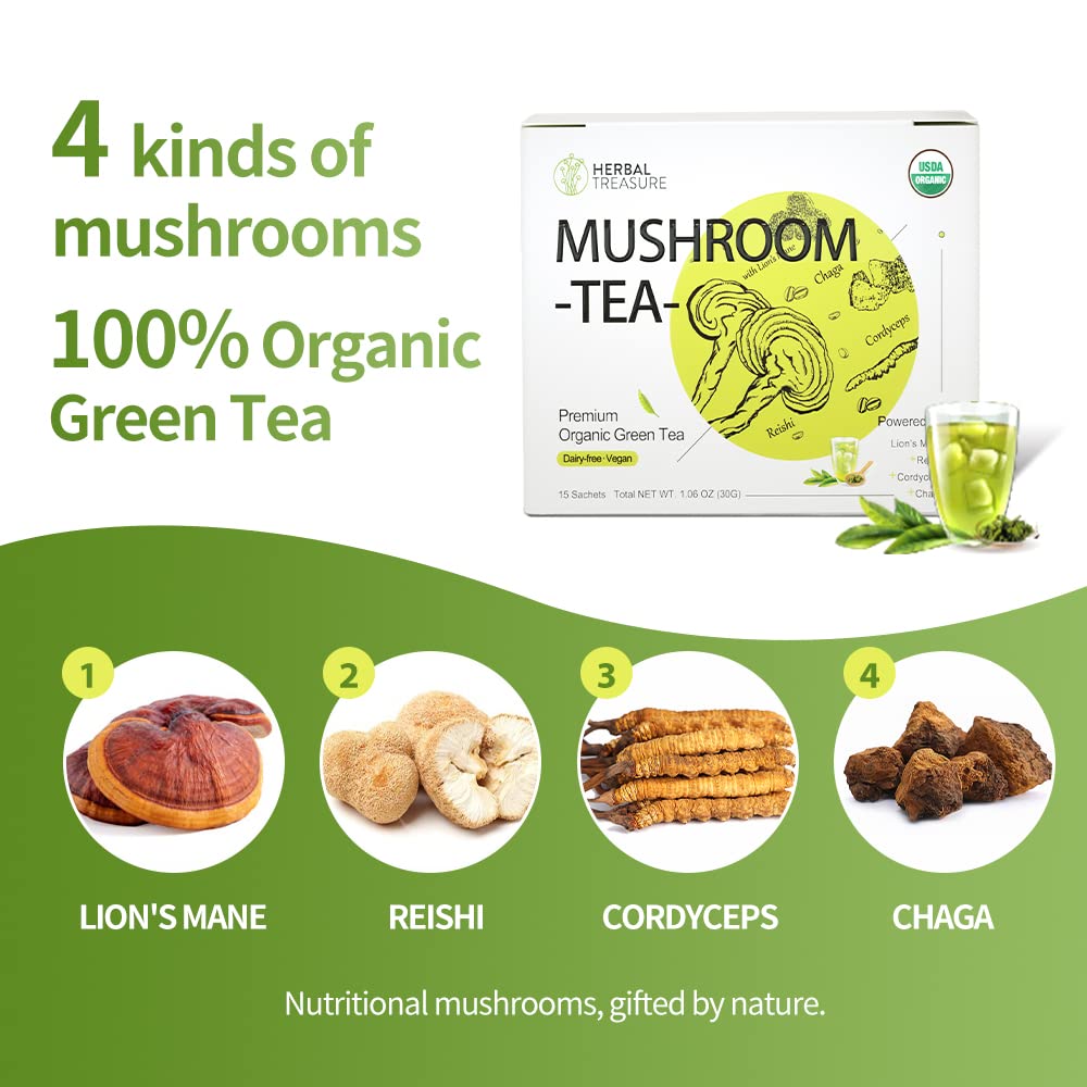 herbal-treasure-mushroom-green-tea-blend-with-lions-mane-reishi-cordyceps-and-chaga---15-tea-bags-2