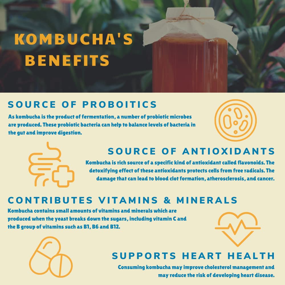 organic-bambucha-kombucha-variety-pack---12-fl-oz-cans-chef-crafted-flavors-raw-live-cultured-tea-drink-vegan-gluten-free-non-gmo-probiotic---case-of-12-6