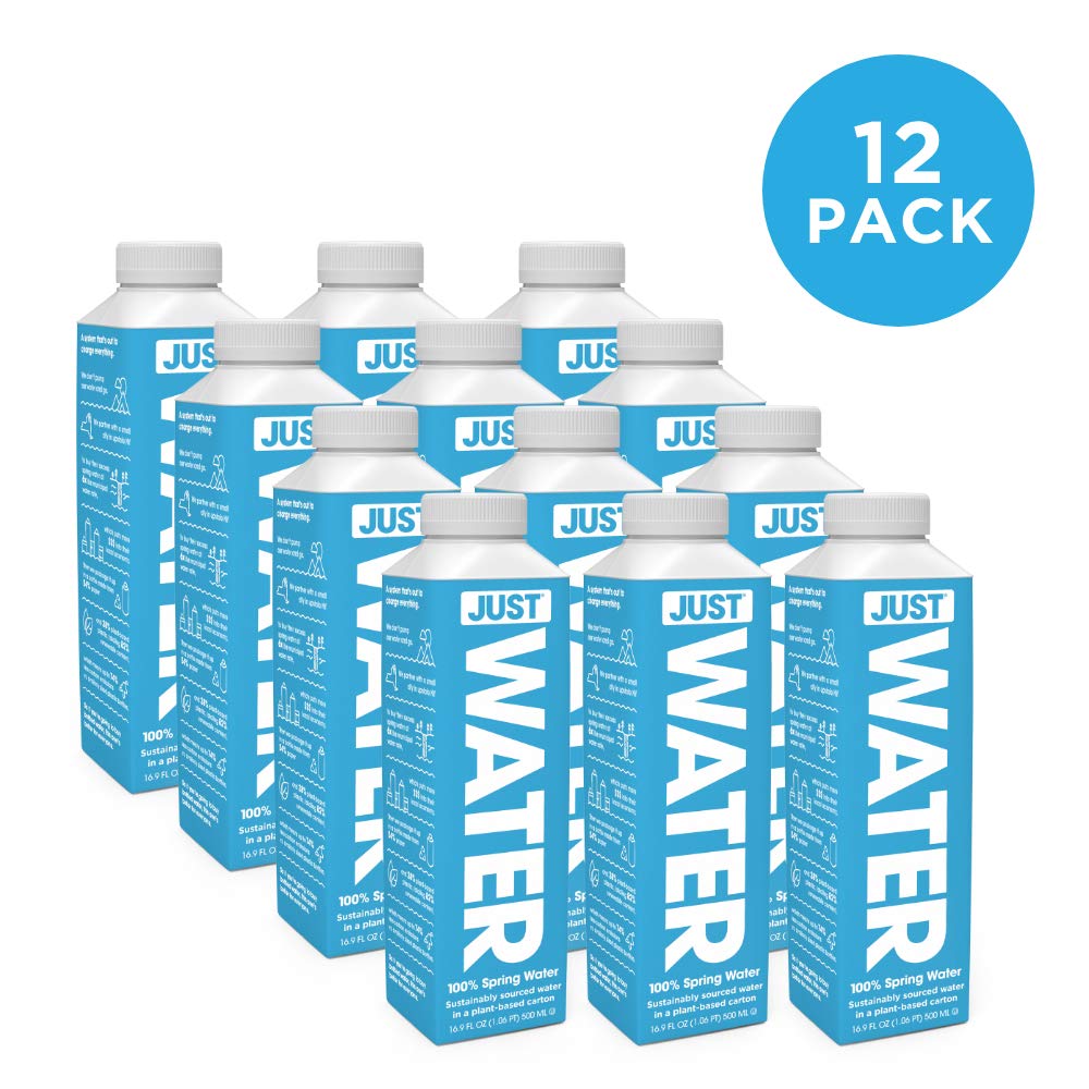 JUST Water Premium Pure Still Spring Water Eco-Friendly Plant-Based Bottle 8.0 pH 16.9 Fl Oz (Pack of 12) - Espot.com.au