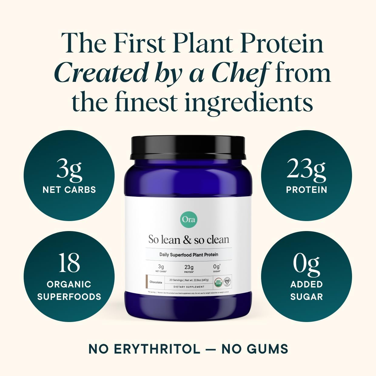 chocolate-flavored-vegan-protein-powder---23g-plant-protein-for-men-and-women---bloat-free-gluten-free-non-gmo---20-servings-no-artificial-sweeteners-2