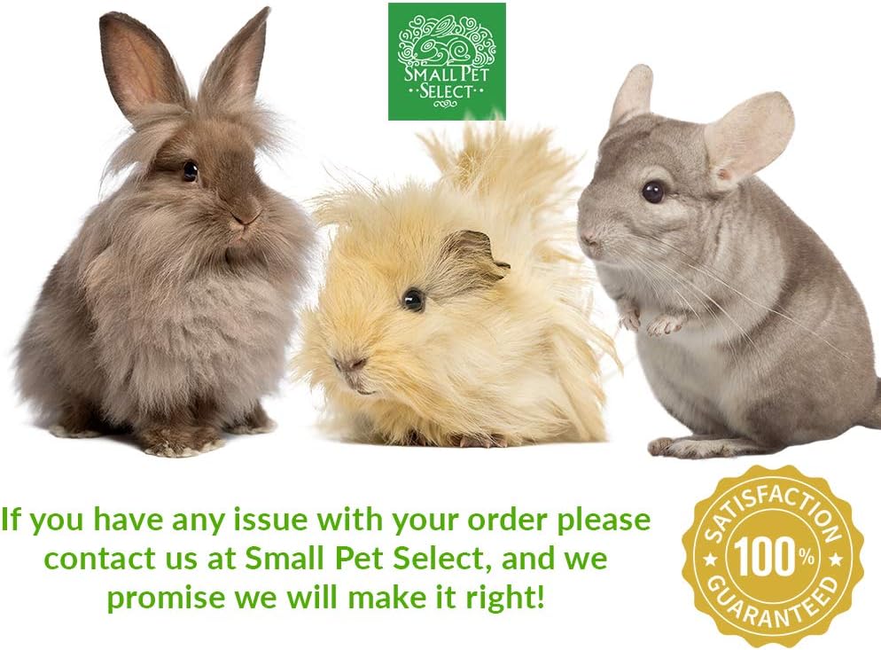 small-pet-select---timothy-hay-flower-tips-10g---high-quality-hay-for-small-pets-3