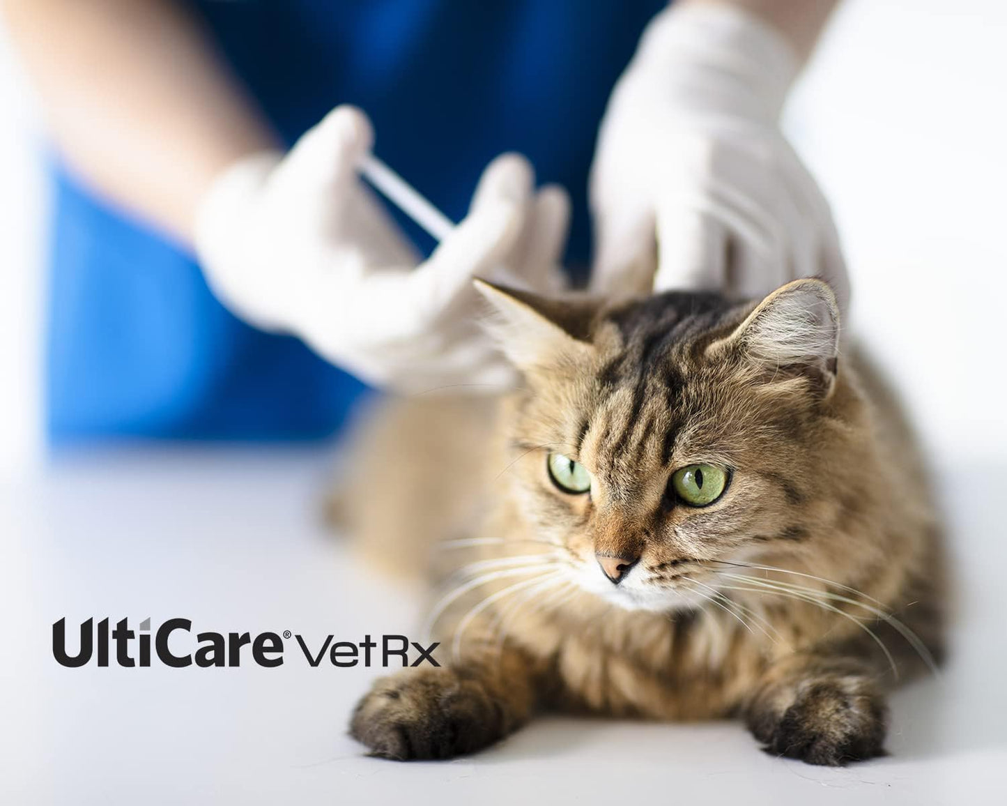 ulticare-vetrx-u-100-pet-insulin-syringes---comfortable-accurate-dosing---compatible-with-any-u-100-strength-insulin---310cc-31g-x-516---60-ct-box-4