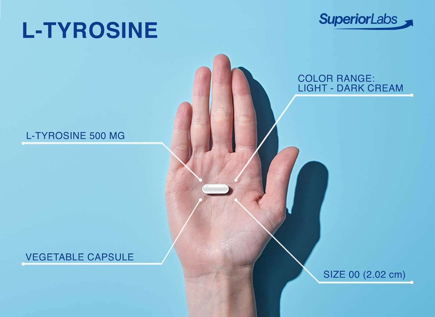 pure-natural-l-tyrosine-nongmo-500mg---120-veg-capsules---mental-clarity-alertness-energy-boost---dietary-supplement-for-calmness-3