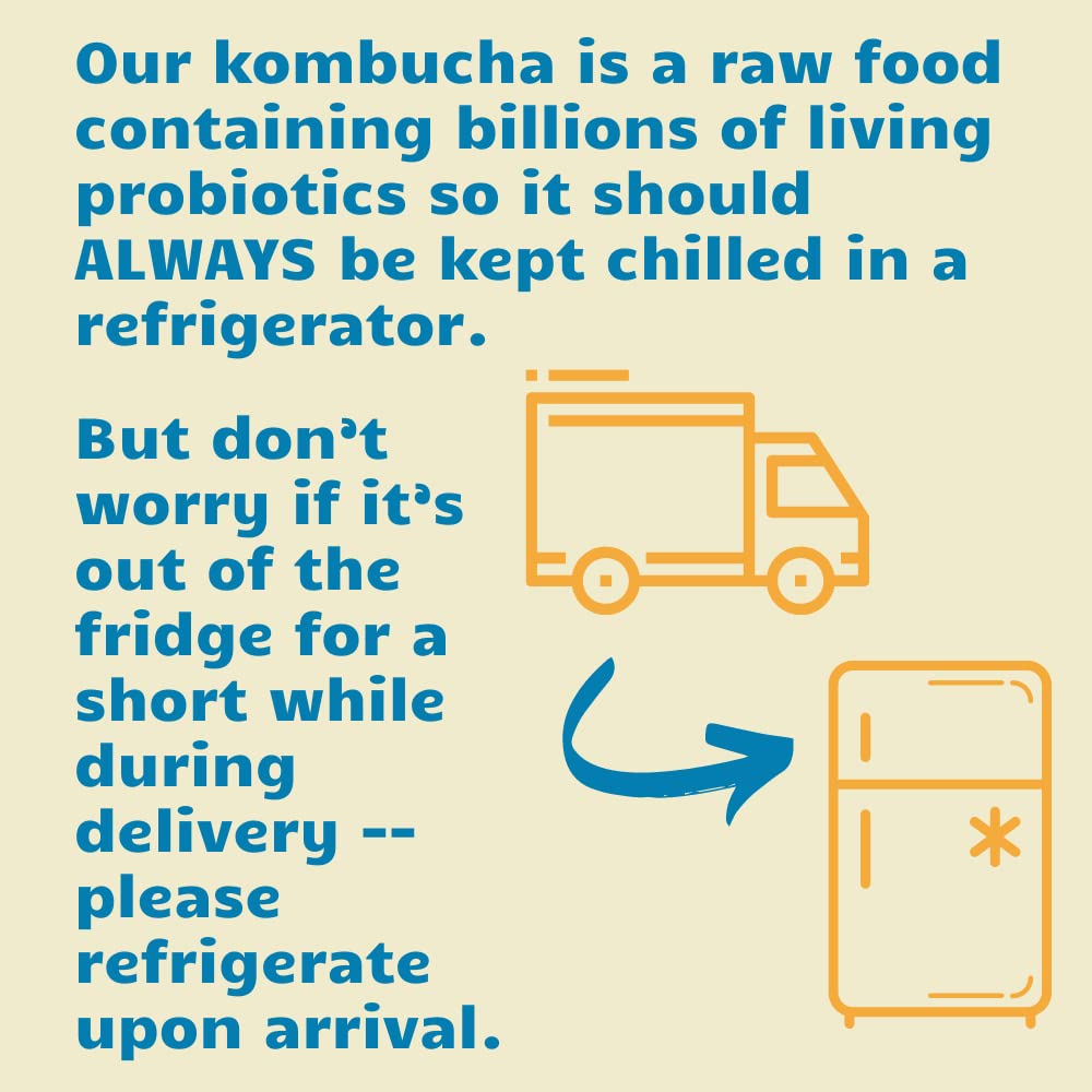 organic-bambucha-kombucha-variety-pack---12-fl-oz-cans-chef-crafted-flavors-raw-live-cultured-tea-drink-vegan-gluten-free-non-gmo-probiotic---case-of-12-4