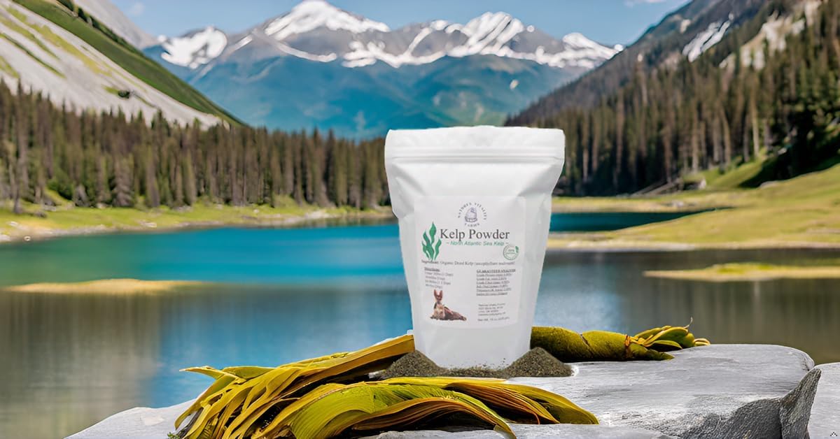 natural-north-atlantic-ocean-sea-kelp-powder-for-dogscats---vitamins-minerals-and-antioxidants-for-ultimate-health---15-ounce-4