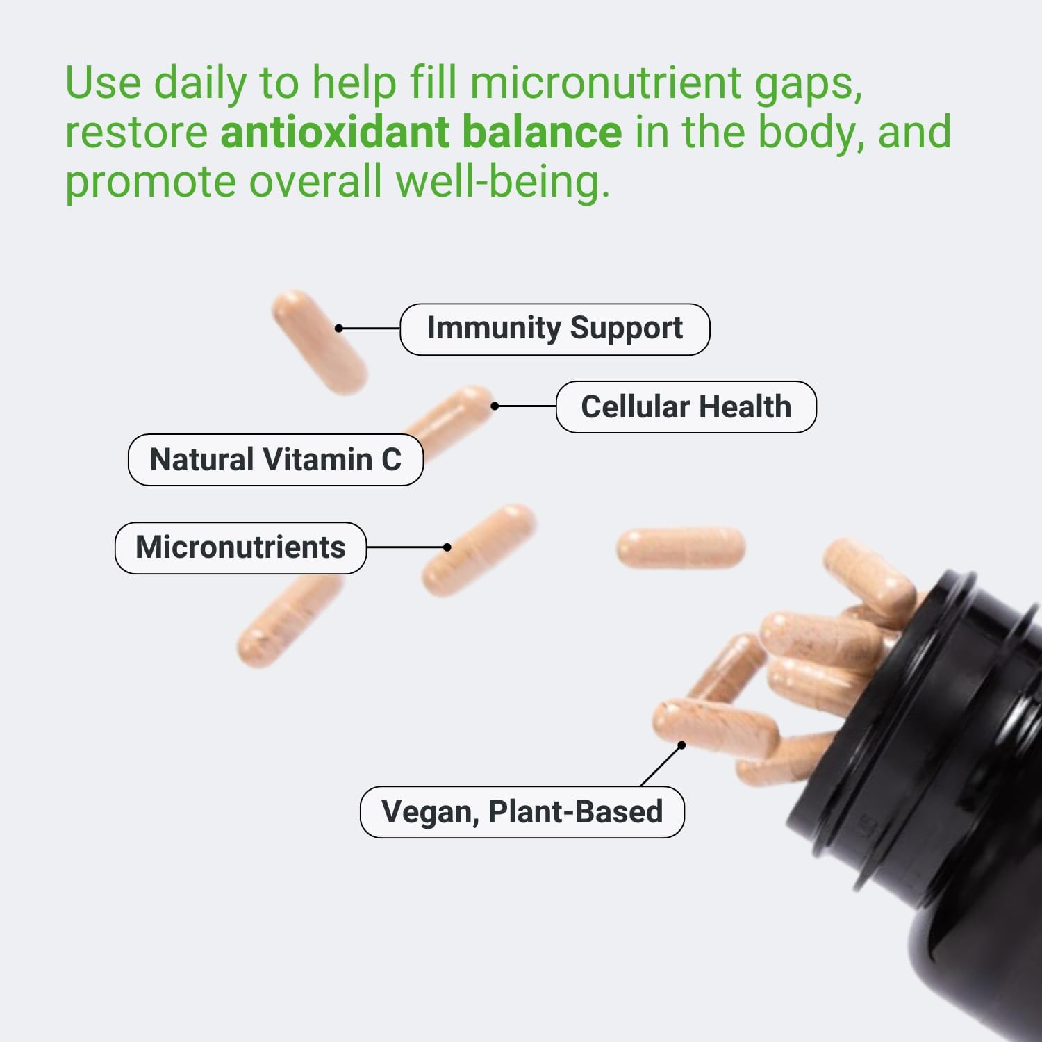 immune-support-supplement-with-vitamin-c-acerola-cherry-turmeric-green-tea-extract---120-vegan-capsules-for-optimal-defense-antioxidant-boost-4