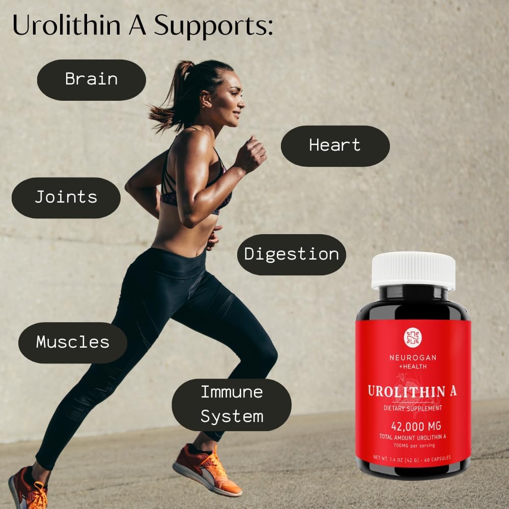 High-Potency Urolithin A Supplement Capsules for Energy, Focus & Muscle Recovery - Made in USA - 700mg, 60 Capsules - Take Daily for Healthy Aging & Cellular Regeneration - Espot.com.au