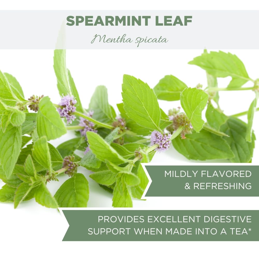 organic-spearmint-leaves-4-oz---usda-certified-loose-leaf-tea-dry-mint-cut-sifted---elanen-naturals-6