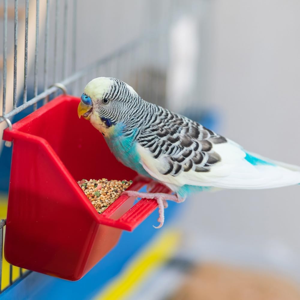 nutritious-daily-blend-for-parakeets-canaries-finches-small-birds---2-pounds-8