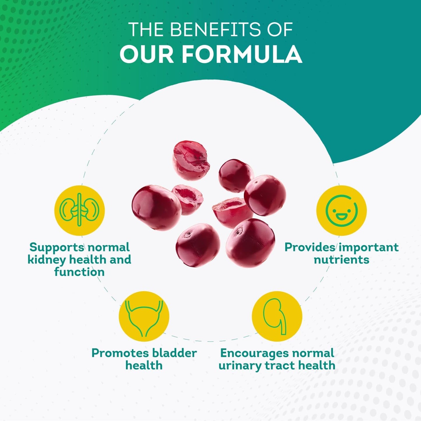 kidney-support-supplement-with-cranberry-extract-astragalus-for-urinary-health---60-capsules-for-men-and-women---cleanse-detox-repair-formula-for-bladder-health-5