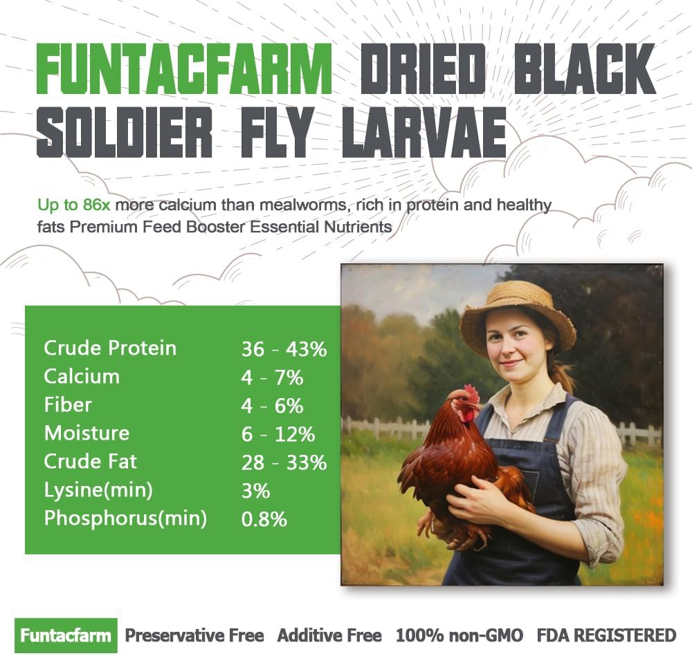 5lb-organic-black-soldier-fly-larvae-for-chickens-high-calcium-chicken-treat-gmo-free-chicken-feed-supplement-2