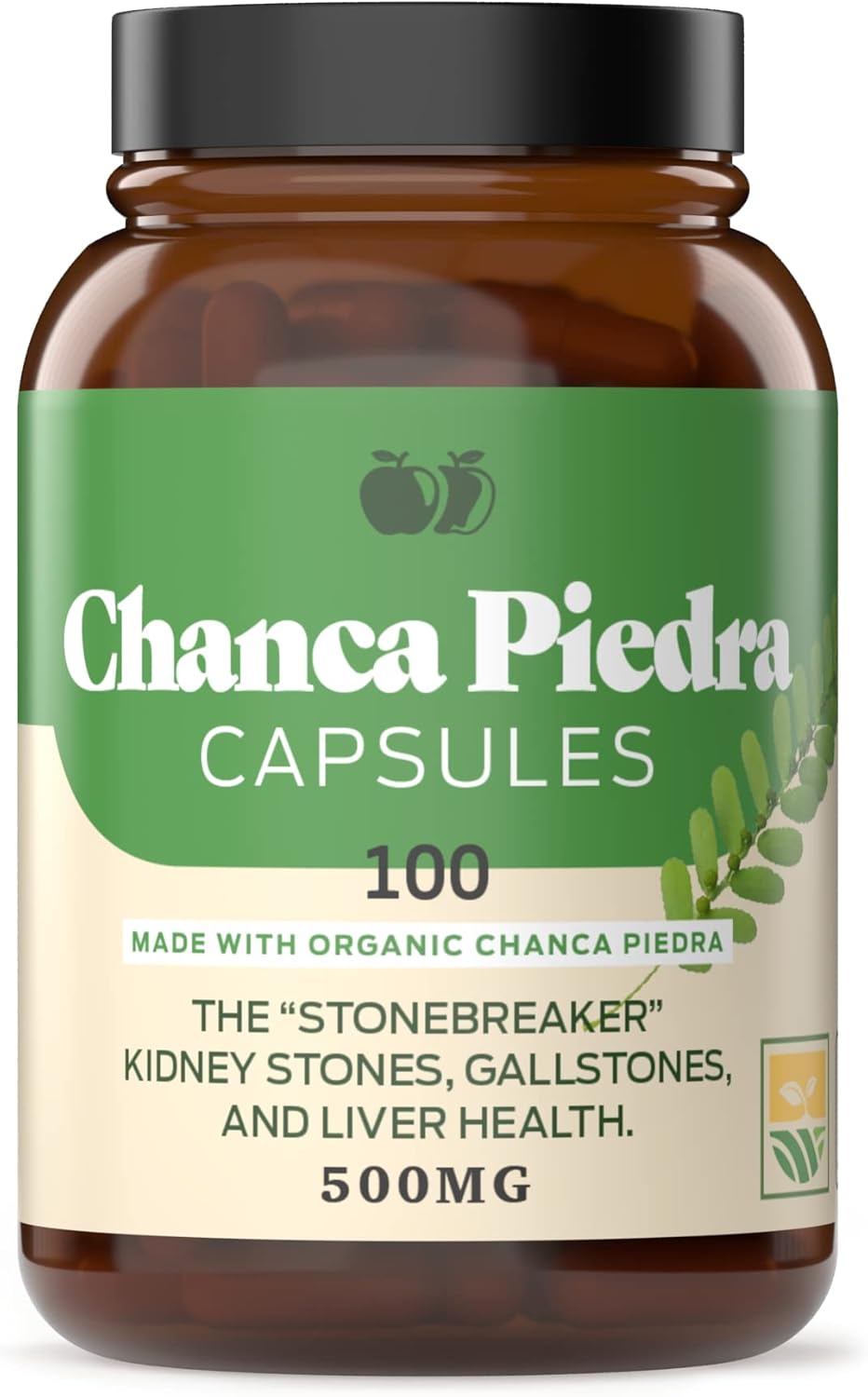 chanca-piedra-extract-8oz-kidney-gallbladder-complete-bundle---100-capsules-included-4